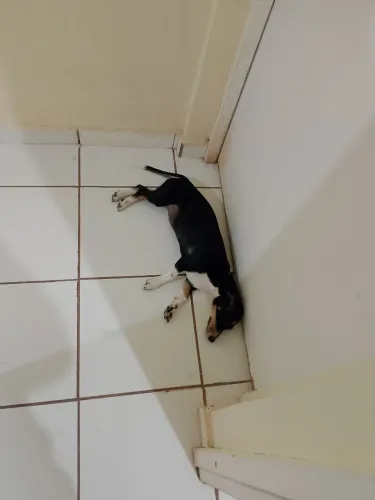 Doação
