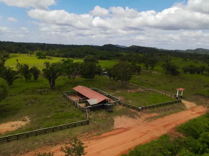 VENDE FAZENDA PRONTA NO SÃO LUIS DO ANAUA RR 