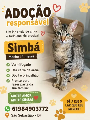 Gatinhos 45 dias ( Adoção responsável)