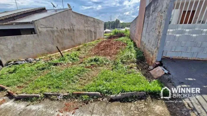 Terreno à venda, 156 m² por R$ 65.000,00 - Jardim Palmares - Mandaguaçu/PR