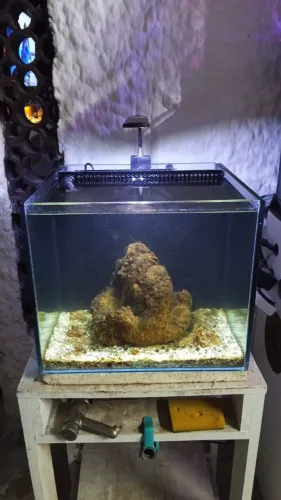 Aquário marinho completo 