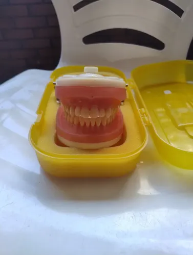 Manequim dentistica pronew