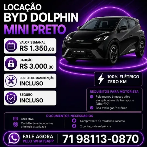BYD Dolphin Mini (Elétrico) 2025