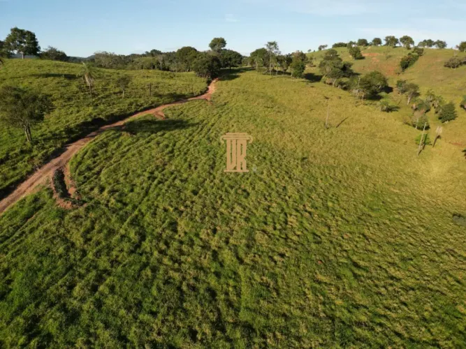 FAZENDA À VENDA 200 ALQUEIRES NO OESTE DE GOIÁS Área total de 200