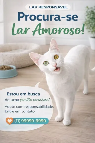 Gatinha disponível para Adoção!!