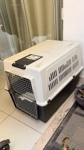 Casa para transporte de Cão porte grande