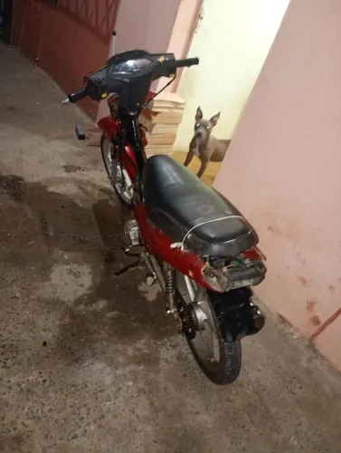 Motinha Shineray 50 cc