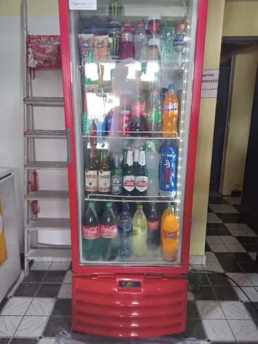 Freezer vertical