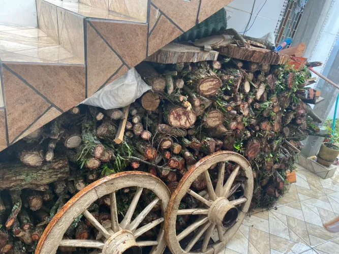 Lenha para churrasco ou lareira