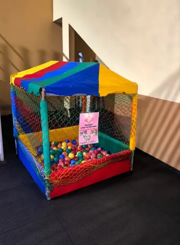 Piscina de bolinha 1x1