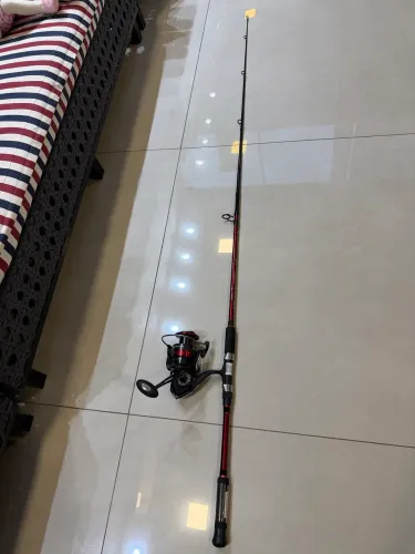 2 Molinete Prisma 6000 + vara