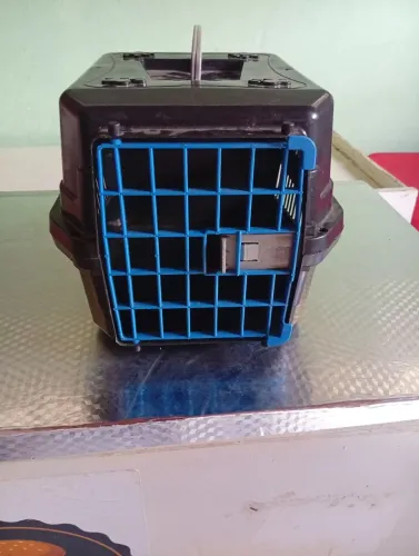 Caixa transporte de gato
