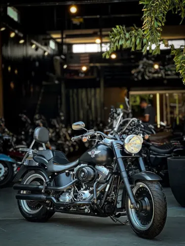 * HARLEY-DAVIDSON FAT BOY LOW SPECIAL 2015