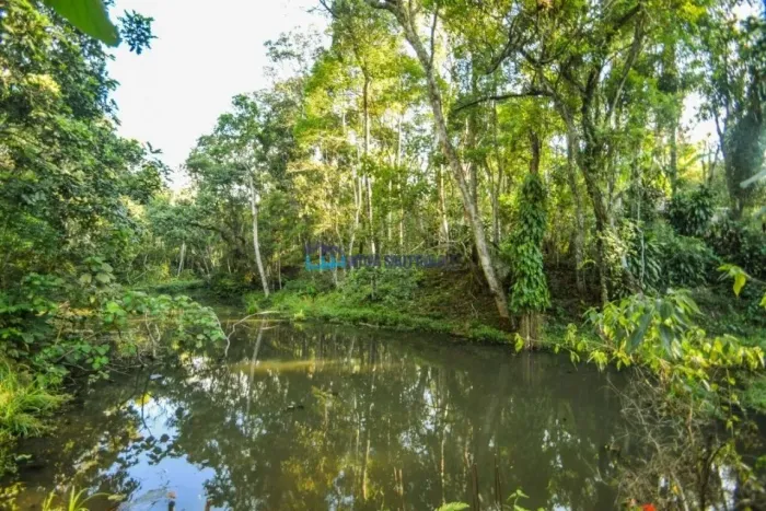 Área rural na região de Mogi das Cruzes.