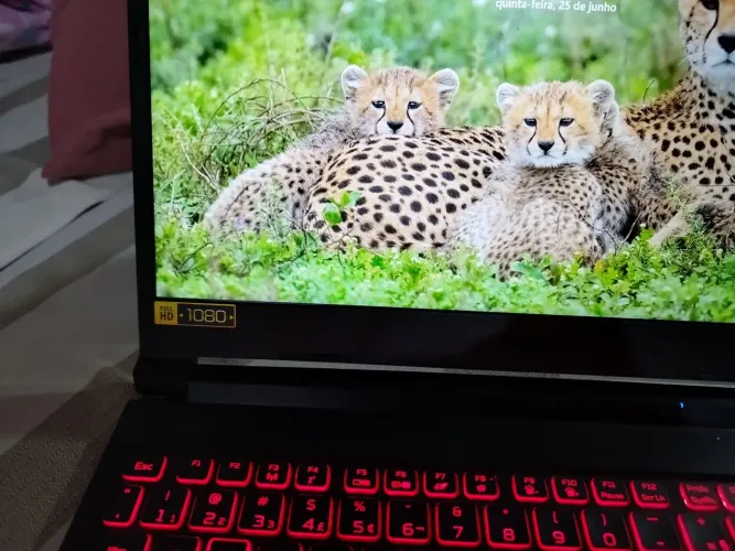 Notebook 