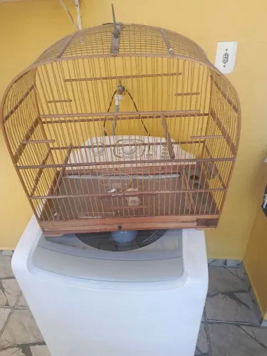 Gaiola de pássaros