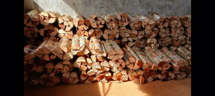 Lenha de eucalipto especial para fornos