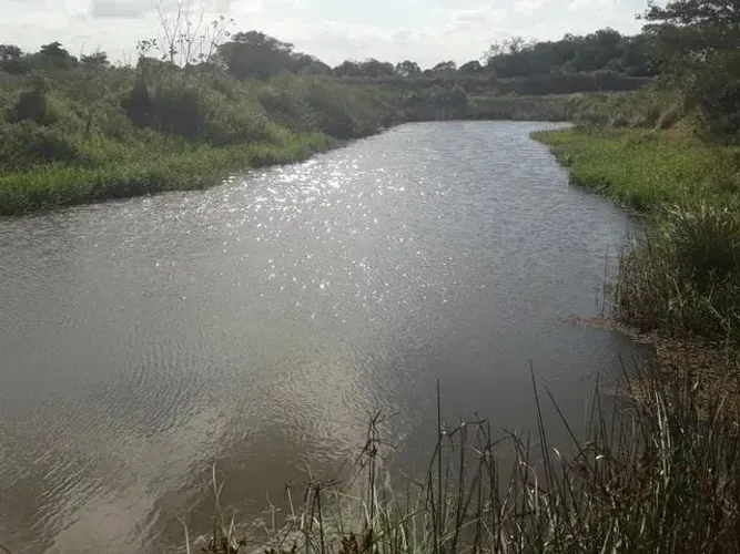 Fazenda em monte alegre com 20 hectares com o rio Trairi