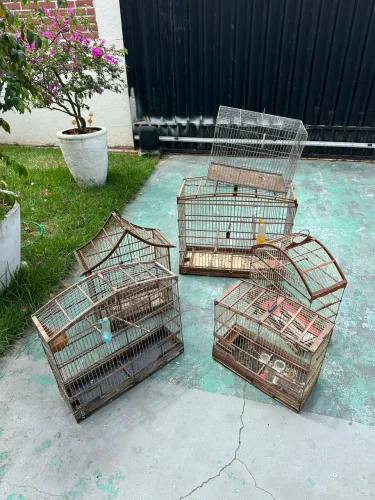 vende 6 gaiolas