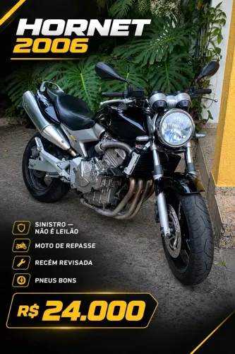 Hornet 2006 