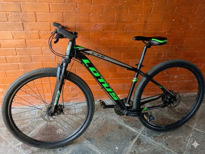Bicicleta aro 29
