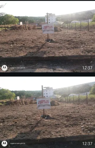 LOTE FFLORESTAL
