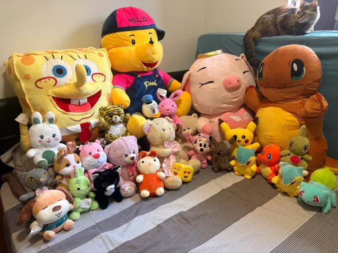 Coleção de ursinho variados tamanhos