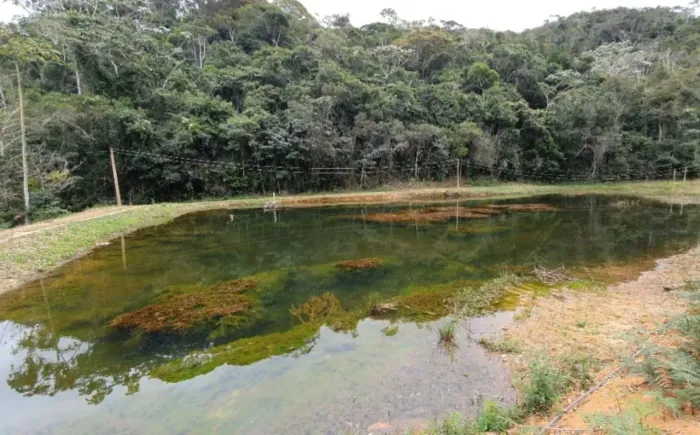 Terrenos no Circuito Caravaggio, com ótima topografia, água, energia, Internet e rua calça