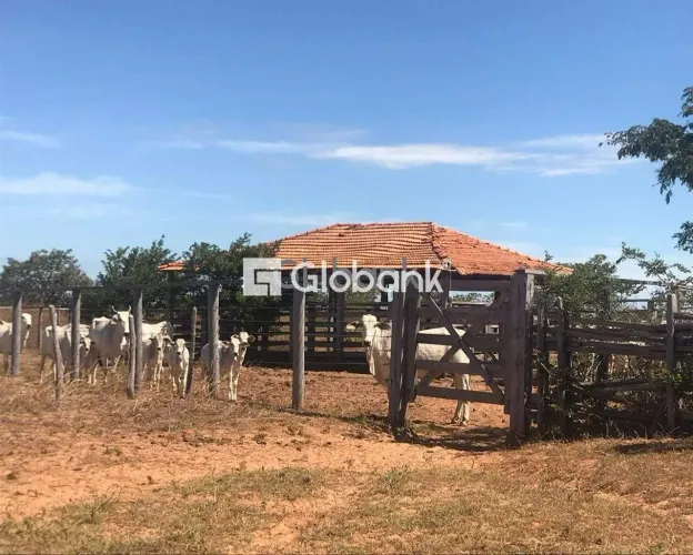 Fazenda/Sítio/Chácara em Varzelândia, no bairro Zona Rural, à venda.