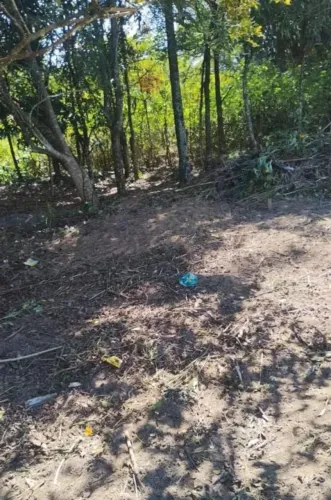Lote na 26 de Setembro 300mts