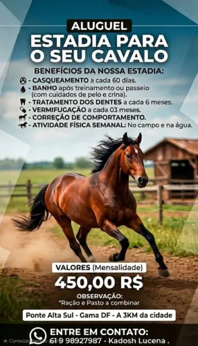 Estadia para Cavalo ou Gado Leiteiro/Corte 