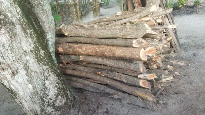 Venha aproveitar a oferta tirado na hora