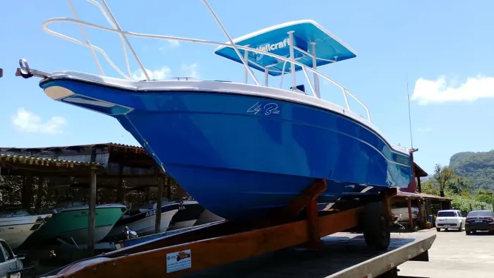 Lancha Fisherman Fish Wellcraft 220 séries 2023 - Aceito trocas Veiculos 