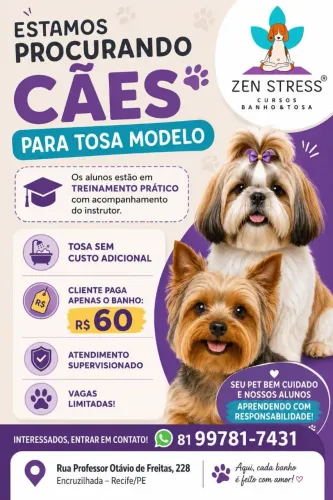 Cães Para tosa Modelo 