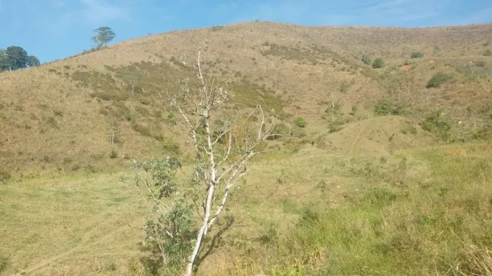 FAZENDA PRODUTIVA À VENDA - SÃO JOSÉ DO TURVO BARRA DO PIRAÍ/RJ