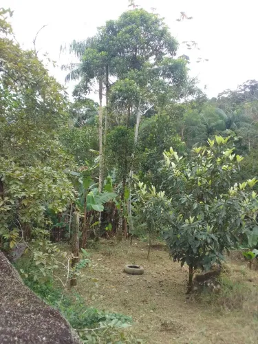 Terreno em Morretes