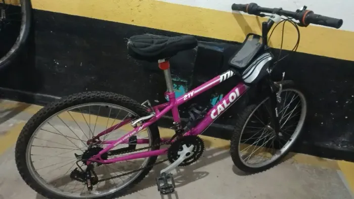 Bicicleta Caloi Max Aro 24 Rosa