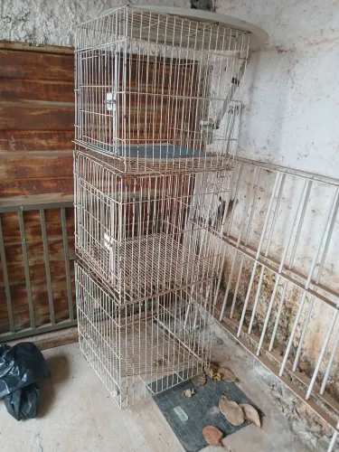Gradil para pet.