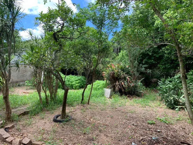 Permuta . Terreno na Vila Nova em Porto Alegre Permuta