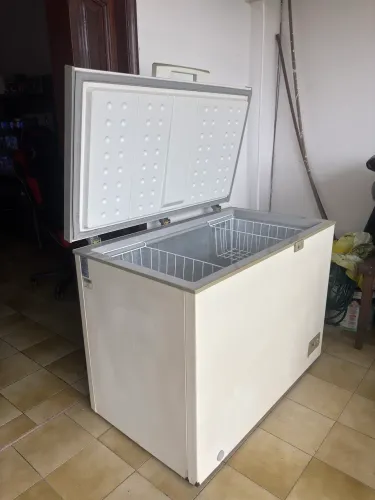 Freezer 296L