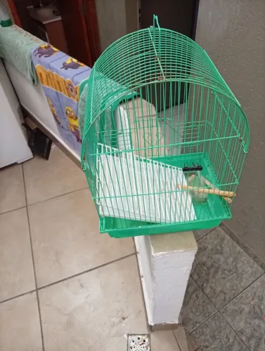 Gaiola