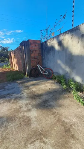 Colli grau 600$