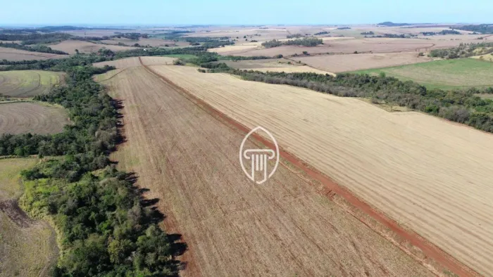 Fazenda à venda, 110 alqueires por R$ 38.500.000 - Zona Rural - Cornélio Procópio/PR