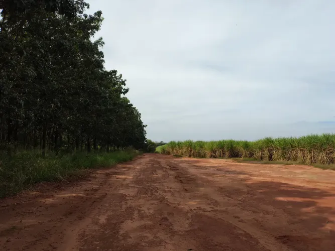 Sítio 8,86 Alqueires Paulistas em José Bonifácio - 100% Aproveitável