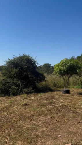 Terreno estrada da ponte de ferro 