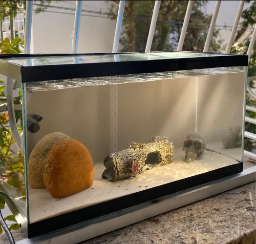 AQUÁRIO 15 Litros Completo (Com Bomba e Decoração) - Pronto para Usar