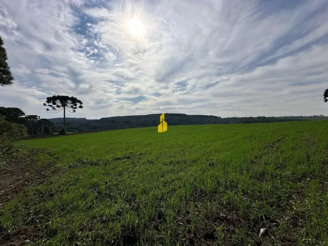 Terreno à venda no bairro São Gabriel - Itaiópolis/SC