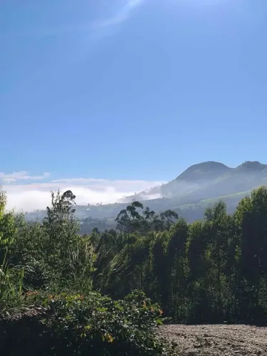 Lotes de 1.000m² com Acesso Fácil pela Castelo ou Raposo
