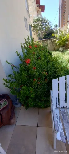 Vendo ixorias