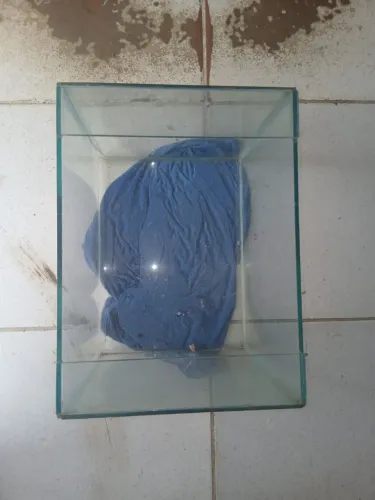 Aquario 36Litros